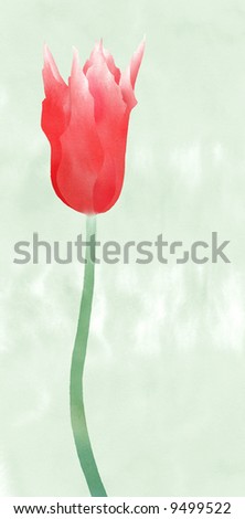 red tulip collage of hand drawing and watercolor doodle, painted background