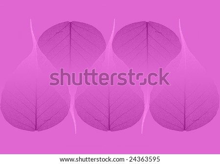 purple background with gradient skeleton leaves