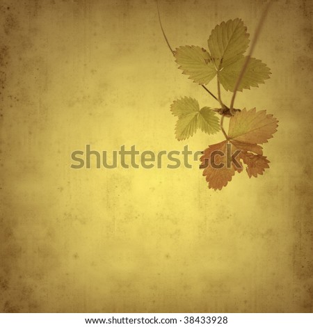 old paper background with wild strawberry runner