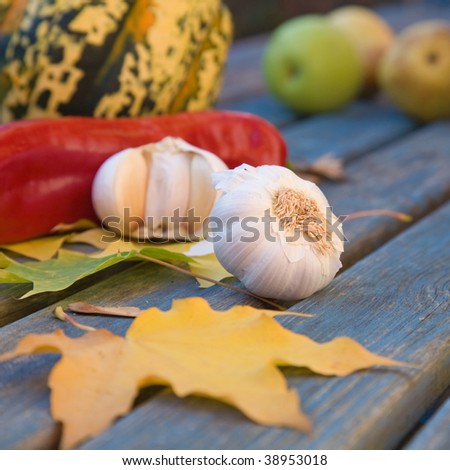 still-life with garlic; pepper; ornamental pumpkin; maple leaves and seeds on old garden table