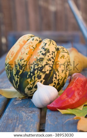 still-life with garlic; pepper; ornamental pumpkin; maple leaves and seeds on old garden table;