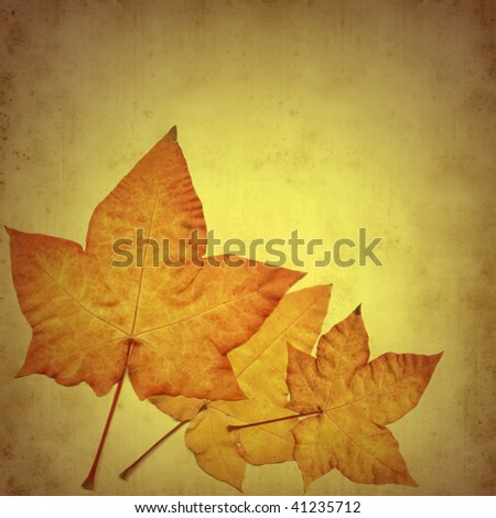 old paper background with autumn maple leaves \