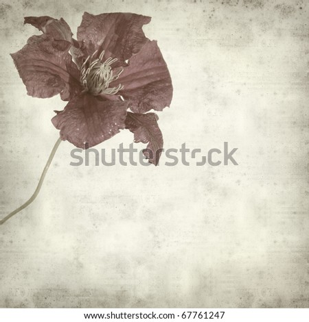 textured old paper background with large purple cleamtis flower head