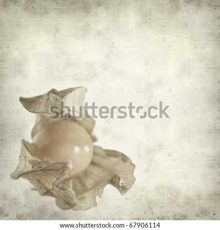 textured old paper background with physalis, Cape gooseberry, ground-cherry, golden berry, uchuva, Inca berry,