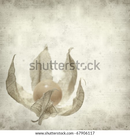 textured old paper background with physalis, Cape gooseberry, ground-cherry, golden berry, uchuva, Inca berry,