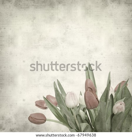 textured old paper background with tulips