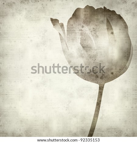 textured old paper background with drawing of a tulip flower