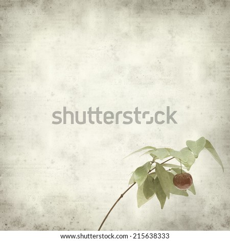 textured old paper background with Eugenia uniflora fruit