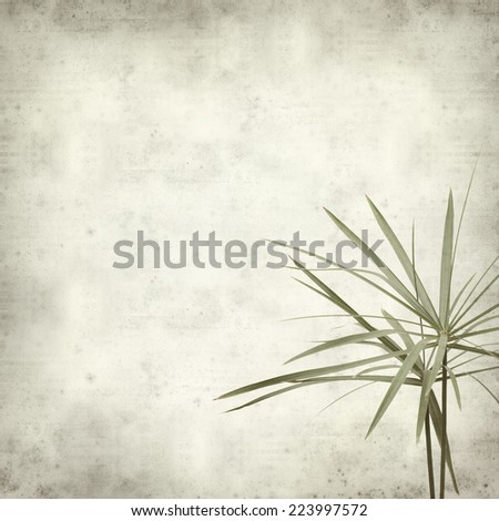 textured old paper background with papyrus
