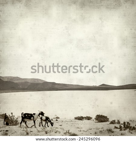 textured old paper background with goats of Fuerteventura