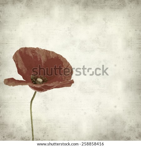 textured old paper background with red poppy flower