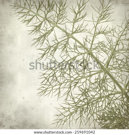 textured old paper background with young fennel leaf