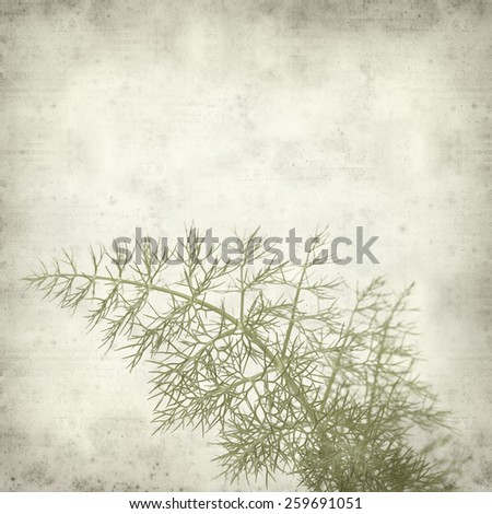 textured old paper background with young fennel leaf