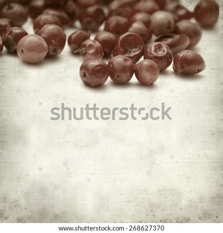 textured old paper background with pink peppercorns