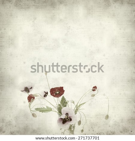 textured old paper background with opening poppies