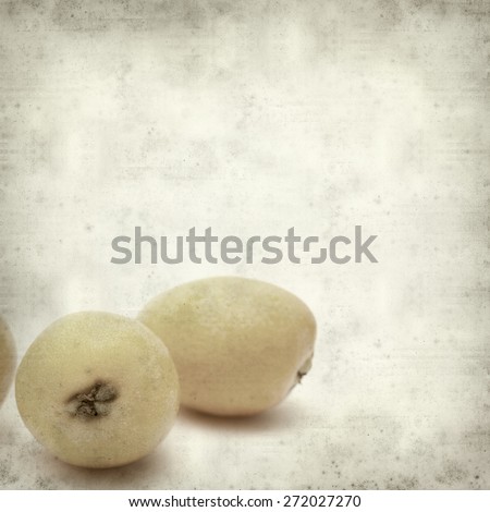 textured old paper background with ripe nispero fruit