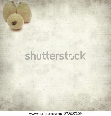 textured old paper background with ripe nispero fruit