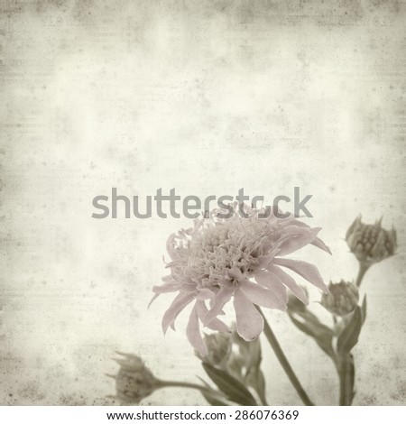 textured old paper background with mountain scabiuos