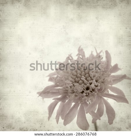 textured old paper background with mountain scabiuos