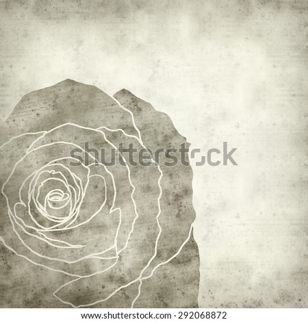 textured old paper background with rose flower drawing