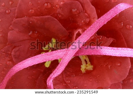 Pink ribbon cross  with Camellia