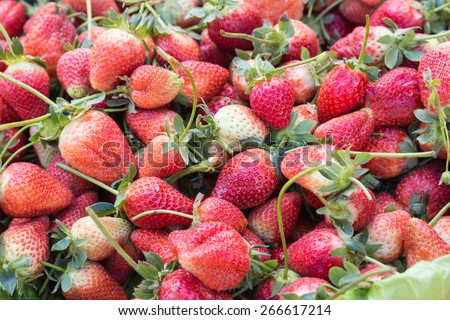 A pocket strawberry close-up, virtual background