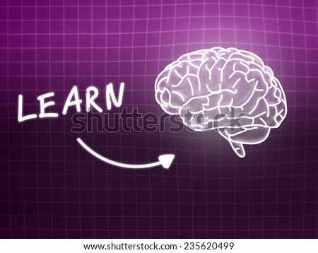 learn brain background knowledge science blackboard pink light