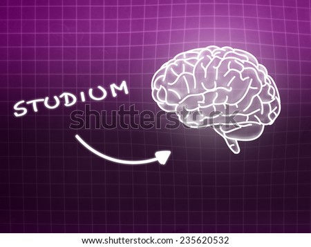 Studium brain background knowledge science blackboard pink light