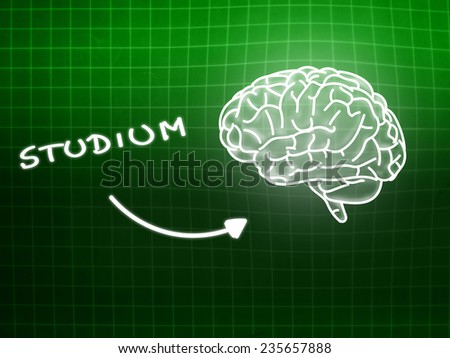 Studium brain background knowledge science blackboard green light