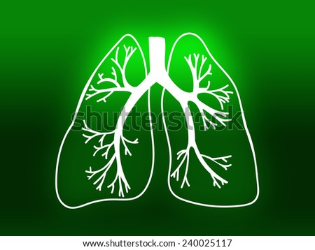 Lung Biology Organ Medicine Study Human green
