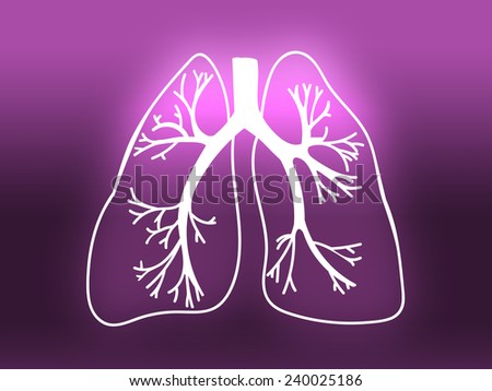 Lung Biology Organ Medicine Study Human pink