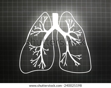 Lung Biology Organ Medicine Study Human gray