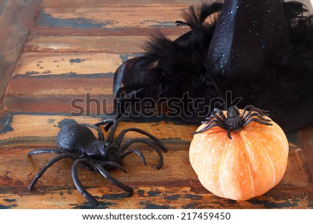 Halloween background:  pumpkins,  hat of witch, spider. Selective focus on small spider. Copy space