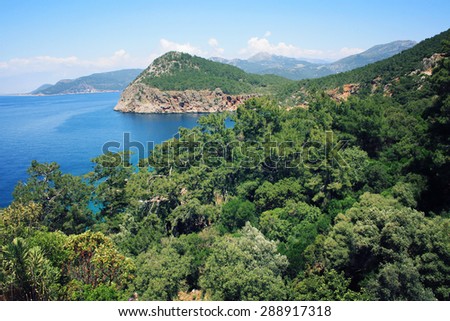 Pine trees on the southern coast of Turkey. Calm blue sea and clear sky. View of Mediterranean Sea from Cape Gelidonya.  Spring sunny day in Antalya province, Turkey.