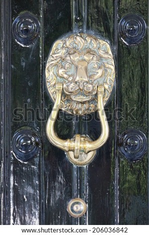 Metal door knocker shaped as a lion head on black door