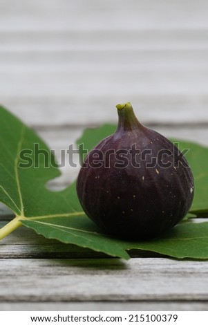 One purple fig on a fig leaf