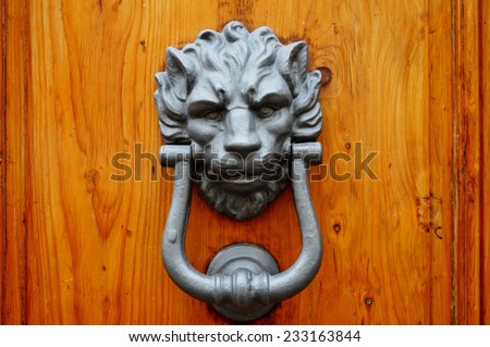 Ornate metal door knocker on a wooden door background