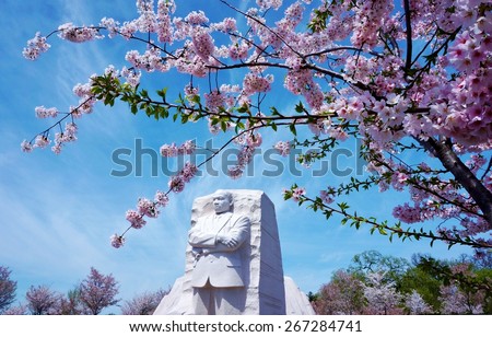 WASHINGTON, DC -12 APRIL 2014- Editorial: Every April, the nations capital celebrates the National Cherry Blossom Festival to commemorate the sakura trees given by Japan to the US in friendship.