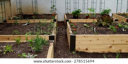 PRINCETON, NJ -16 MAY 2015- Raised beds, also called grow boxes or containers, are an increasingly popular way to cultivate a backyard vegetable garden.