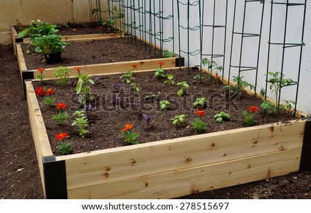 PRINCETON, NJ -16 MAY 2015- Raised beds, also called grow boxes or containers, are an increasingly popular way to cultivate a backyard vegetable garden.