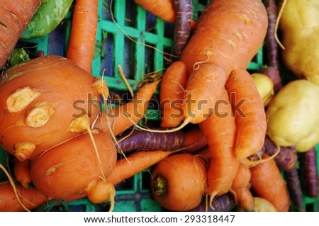 Trendy ugly misshapen root vegetable at a French farmers market