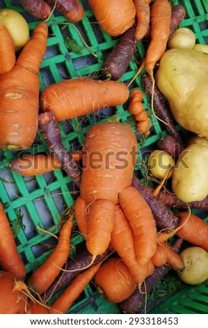 Trendy ugly misshapen root vegetable at a French farmers market