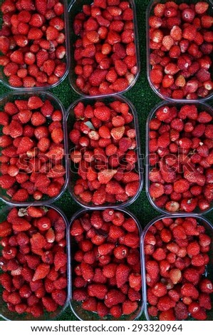 Alpine wood strawberries (fragaria vesca) at a French farmers market