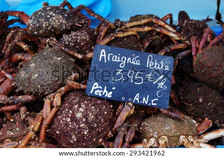Sea spider crab for sale at a French farmers market