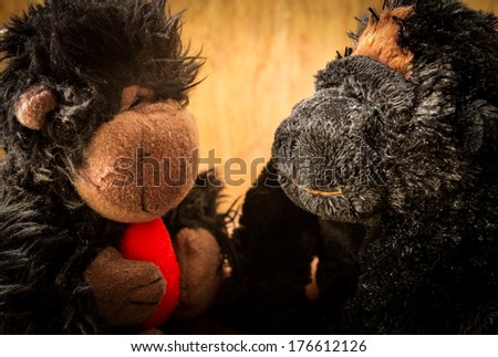 Close up of two monkey doll in love