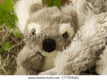 Koala doll in hug concept of love,close up
