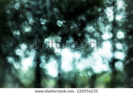 Beautiful Nature Blurred background,Through the Looking Glass, Blurry Vision