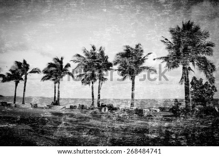 Double exposure of coconut tree on beach in Thailand for background,Black and white filter effects