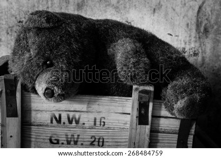 Teddy bear in box ,Still life photography on black and white effects filter, abandon concept