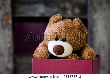 Teddy bear in box ,Still life art photography black and white